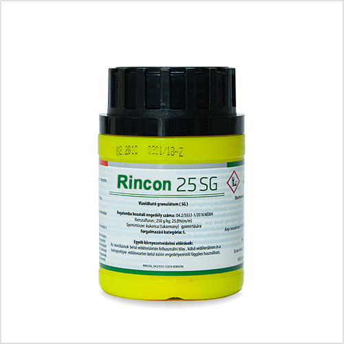 Rincon-25-SG